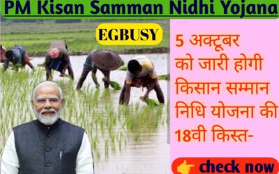 PM Kisan Samman Nidhi Yojana: नवरात्रि पर किसानों की बल्ले-बल्ले, 5 अक्टूबर को जारी होगी किसान सम्मान निधि योजना की 18वीं किस्त, चेक करें अपना स्टेटस
